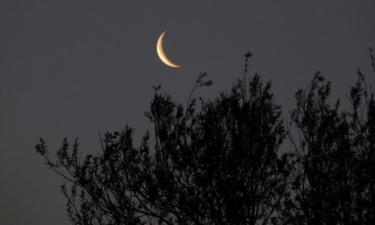 غدا السبت فاتح شهر ذي الحجة وعيد الأضحى يوم الاثنين 12 غشت