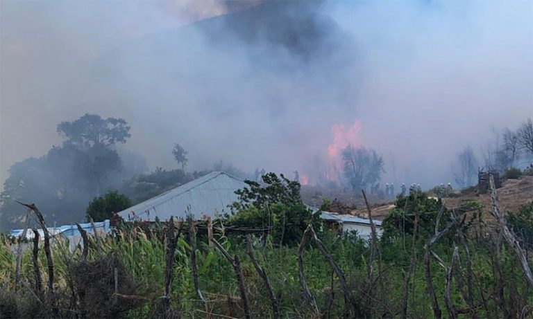 فرق الإنقاذ تجاهد لإخماد حريق غابوي كبير منذ 8 أيام بعدما أتى على 1100 هكتار