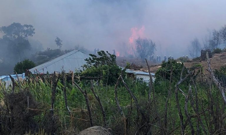 فرق الإنقاذ تخمد حريقين غابويين بطنجة أتيا على 543 هكتارا من الغطاء النباتي