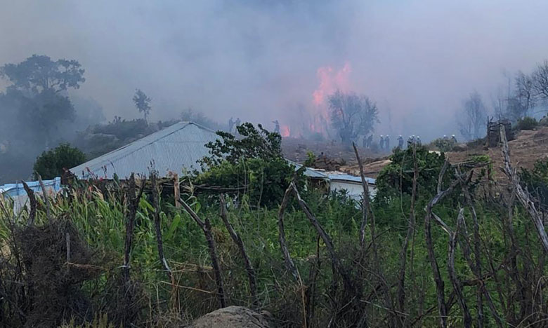 فرق الإنقاذ تخمد حريقين غابويين بطنجة أتيا على 543 هكتارا من الغطاء النباتي
