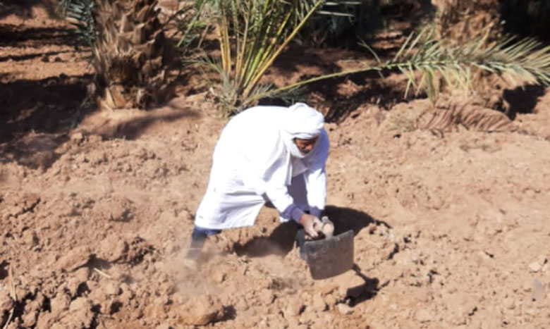 قساوة الظروف الطبيعية عجلت بهجرة سكان زاكورة نحو المدن بحثا عن موارد عيش أفضل