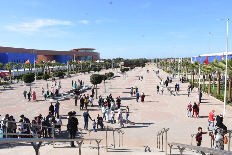 كوفيد 19: إلغاء تنظيم دورة هذه السنة من معرض الفرس بالجديدة