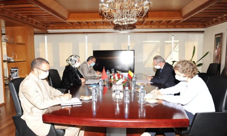 لقاء بين نزهة الوفي وسفير بلجيكا بهدف تطوير التعاون في مجال تعبئة الكفاءات وجذب استثمارات المغاربة المقيمين ببلجيكا