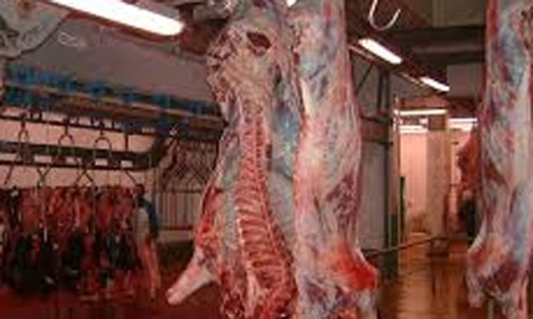 مجازر الدار البيضاء تلتزم بتدابير التعقيم والتطهير حفاظا على صحة وسلامة المستهلك