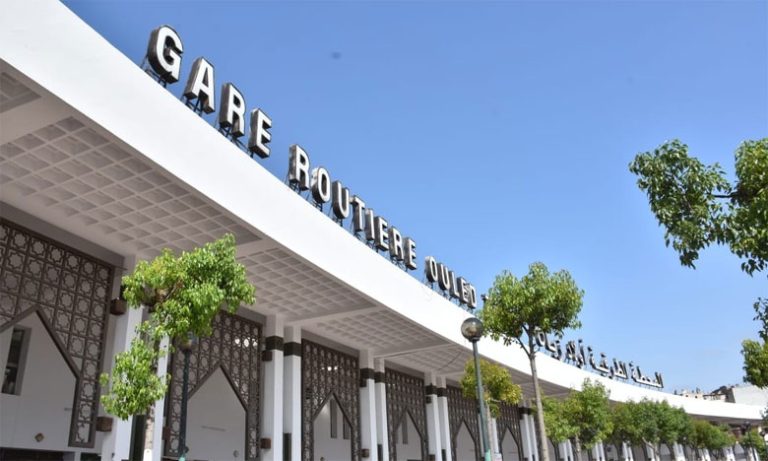 تصوير :الصديق