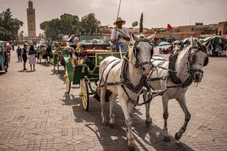 مداخيل السياحة تسجل رقما قياسيا بالمغرب