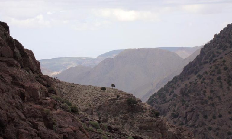 مديرية الأرصاد الجوية: طقس حار وأمطار عاصفية من اليوم الأربعاء إلى يوم الأحد