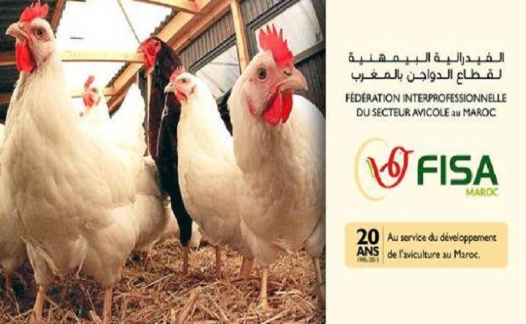 مذكرة تعاون بين الفيدرالية البيمهنية لقطاع الدواجن بالمغرب ومجلس الحبوب الأمريكي يوقعان