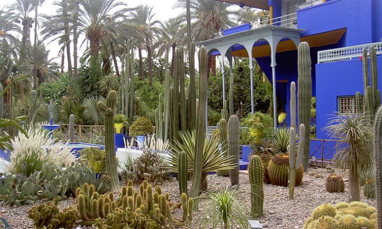 مراكش: اتفاقية شراكة لتسليط الضوء على التراث الأمازيغي المغربي