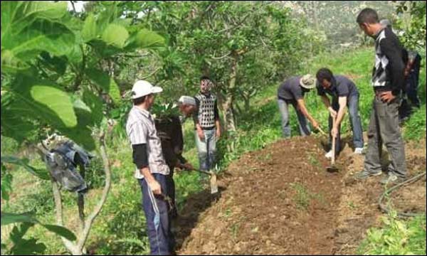 مستخدمو الاستشارة الفلاحية يلوحون باعتصام مفتوح بالرباط