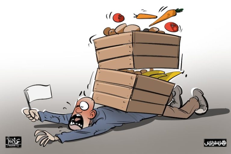 مندوبية التخطيط تكشف تدهور مستوى المعيشة بنسبة 87 % للأسر المغربية