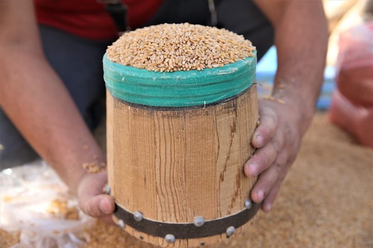 نظام للتعويض عند استيراد القمح اللين