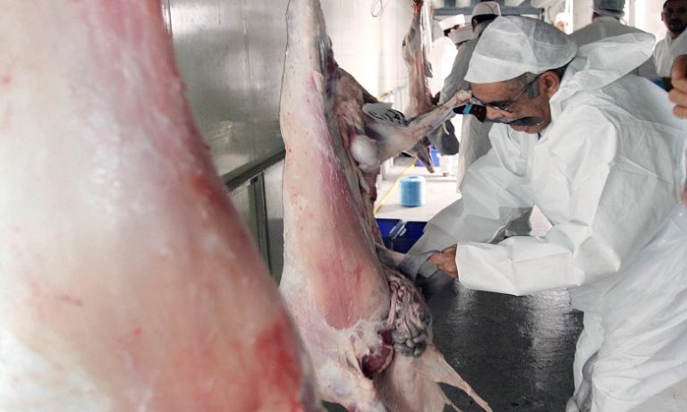 هيئة جمعوية تطالب بمراقبة أكبر سوق لبيع اللحوم لسكان خريبكة