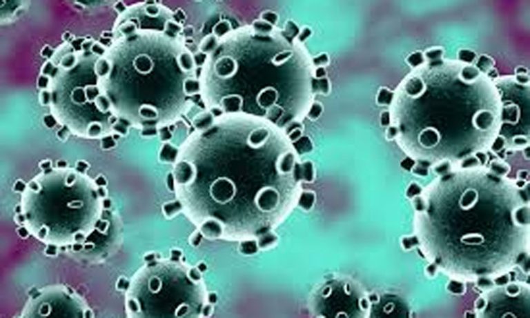 هيئة وطنية تنادي المغاربة إلى تكثيف الجهود لصد الوباء