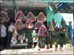 ورد أقل في 8 مارس عكس عيد الحب تجارة الورد تنشط كثيرا في عيد الحب