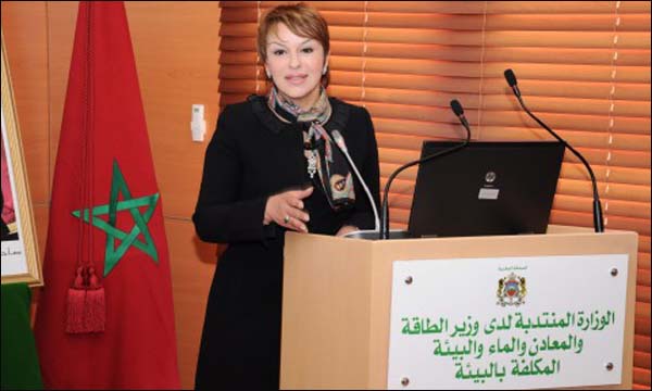 وزارة البيئة تتعبأ للحد من التلوث الصناعي بالمحمدية