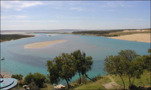 وزارة البيئة تستعمل أجهزة مقتصدة للطاقة وسيارات صديقة للبيئة