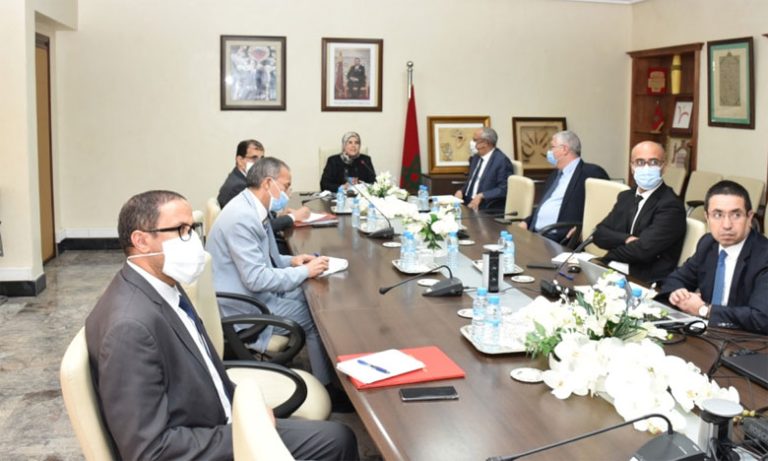 وزارة التضامن تطلق برنامج رقمنة مسطرة الحصول على شهادة الإعاقة في 26 إقليما