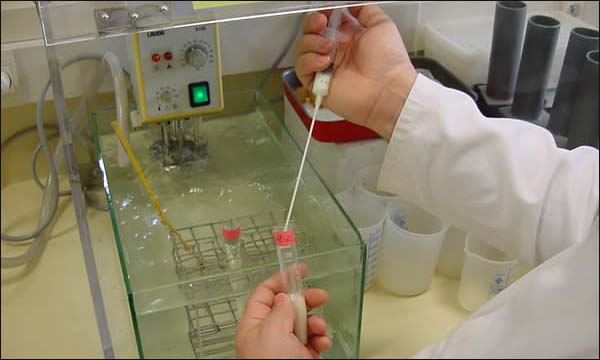 وزارة الصحة تعد مشروع قانون للمساعدة الطبية على الإنجاب