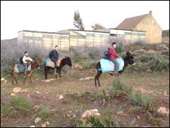 إفران وأزرو.. مدارس بأجواء تحت الصفر إفران وأزرو.. مدارس بأجواء تحت الصفر