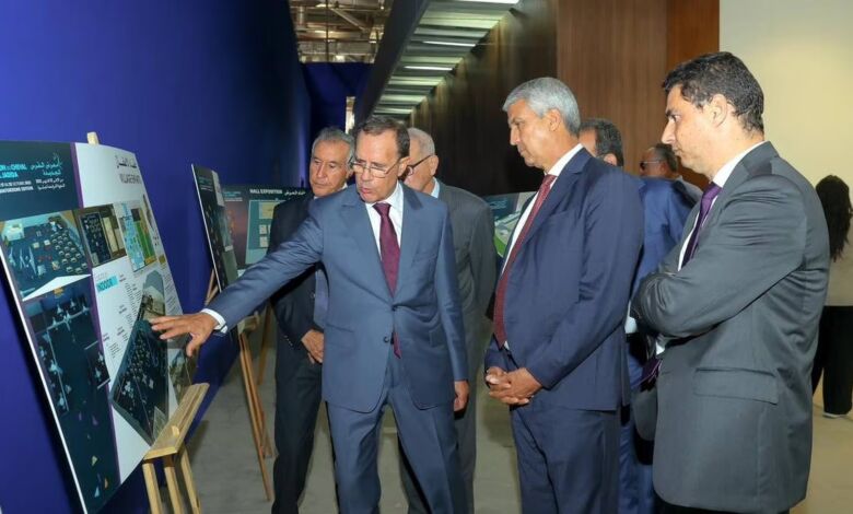 الدورة الـ 14 لمعرض الفرس فرصة لإبراز دور الخيل كمساهم في التنمية المستدامة (وزير) الدورة الـ 14 لمعرض الفرس فرصة لإبراز دور الخيل كمساهم في التنمية المستدامة (وزير)