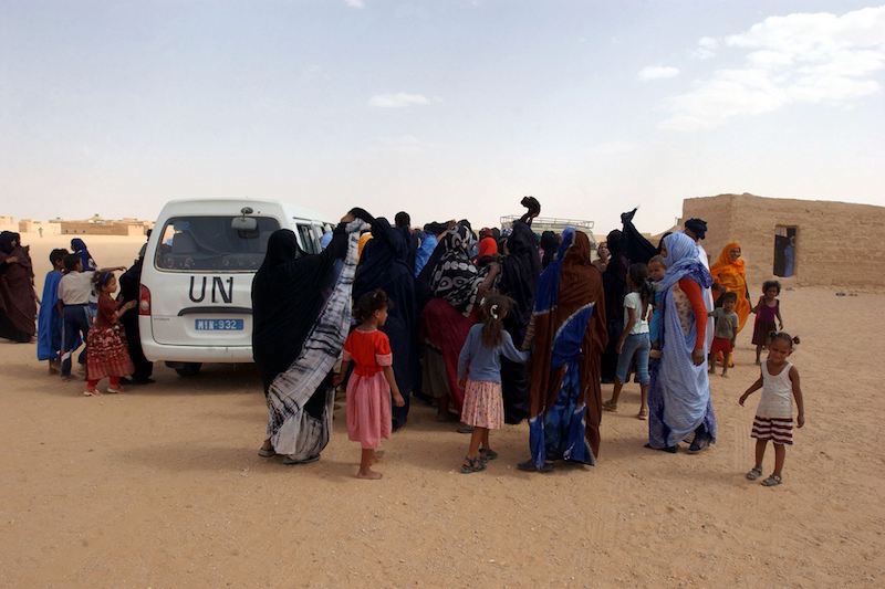 جرائم ضد الإنسانية في حق محتجزين يموتون جوعا وعطشا وسط صحراء تندوف جنوب الجزائر جرائم ضد الإنسانية في حق محتجزين يموتون جوعا وعطشا وسط صحراء تندوف جنوب الجزائر