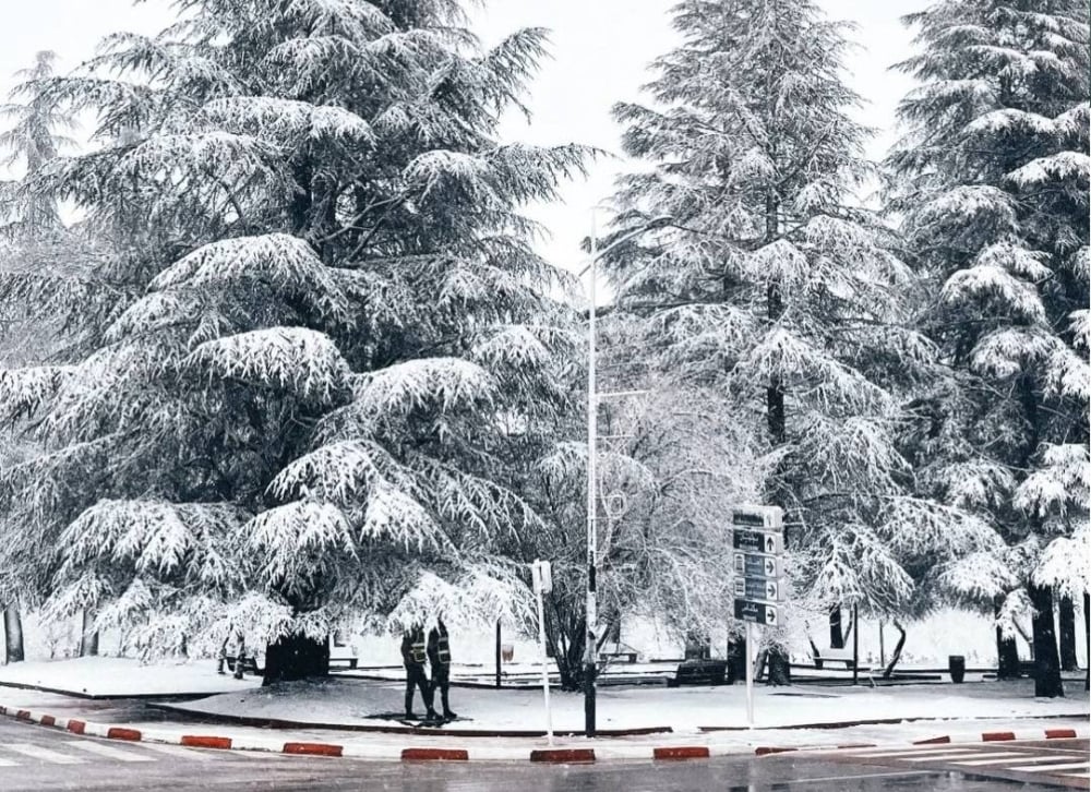جهة فاس مكناس .. الثلج يكسو المناطق المرتفعة ويعيد الروح للفضاءات الجبلية