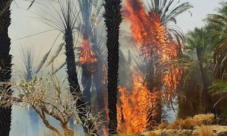 حرائق تجتاح واحات درعة بإقليم زاكورة وتدمر الآلاف من أشجار النخيل