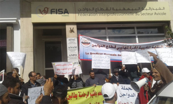 مربو الدجاج يحتجون في الدارالبيضاء