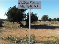 اختفاء مطرح عشوائي في إنزكان بعد 20 عاما من المعاناة جانب من مطرح القليعة (خاص)