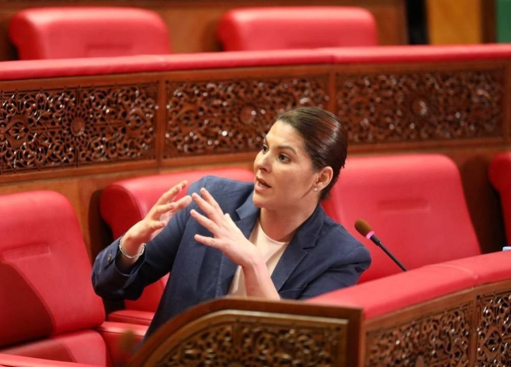 المنصوري: 1627 دوار في طور الإنجاز لفائدة 688 ألف نسمة