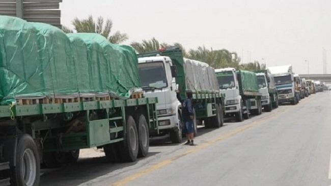 المنظمة الديمقراطية للنقل واللوجستيك تطالب الحكومة بتوفير الحماية للسائقين المهنيين المحاصرين بدول إفريقيا