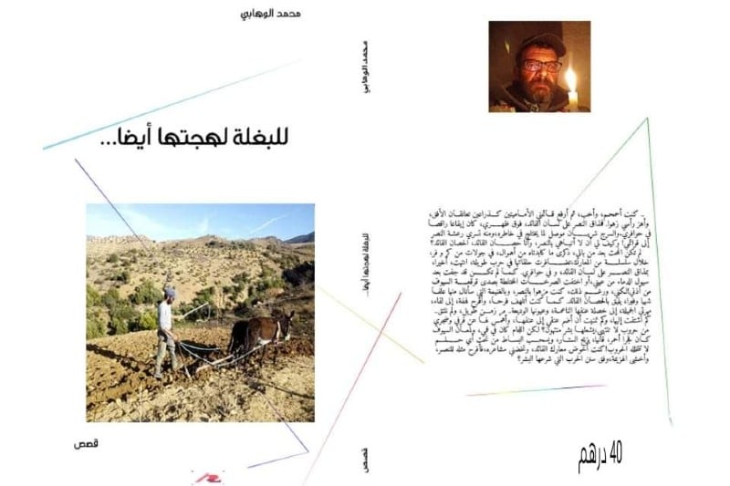 الوهابي يدبج قصص "للبغلة لهجتها أيضا"