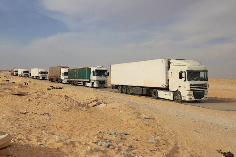 بعد الخناق الأوروبي.. مصدرون مغاربة يطالبون برفع حظر التصدير إلى إفريقيا