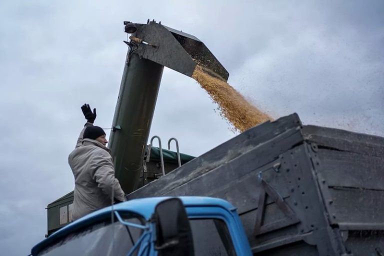 بولنديون يفرغون شحنة حبوب متجهة للمغرب