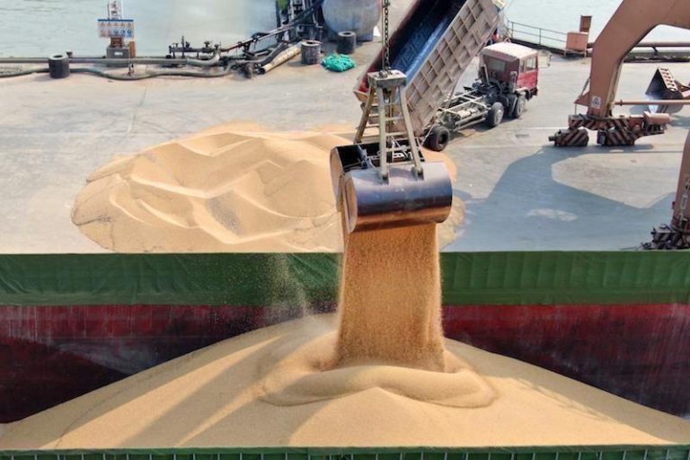 تصدير الخضراوات واستيراد القمح .. سياسة فلاحية متناقضة أم ضرورة اقتصادية؟