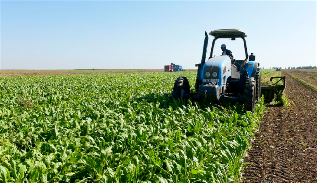 جهة الرباط.. التساقطات المطرية الأخيرة سيكون لها تأثير إيجابي على الموسم الفلاحي