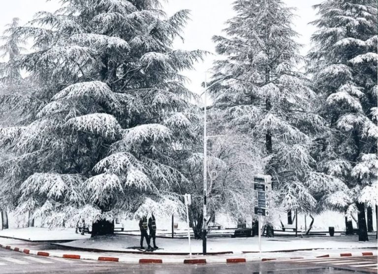 جهة فاس مكناس .. الثلج يكسو المناطق المرتفعة ويعيد الروح للفضاءات الجبلية