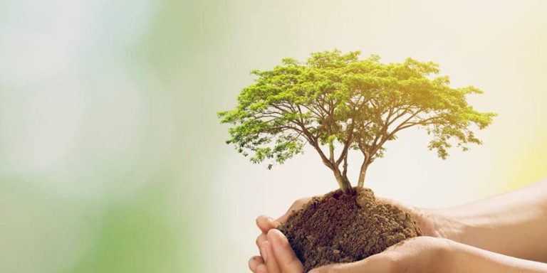 خبراء يؤكدون دور الباحثين في الترافع بمؤتمرات المناخ للضغط على الدول الأطراف لتبني اقتراحاتهم