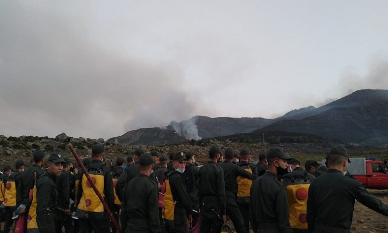 شفشاون: مجهودات استثنائية طيلة 4 أيام لإخماد حريق غابة "جبل سوكنا" والنيران تلتهم 1100 هكتار