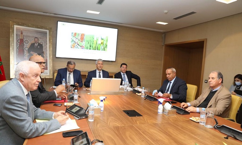 صديقي: الأمطار الأخيرة كان لها تأثير مباشر على الزراعات