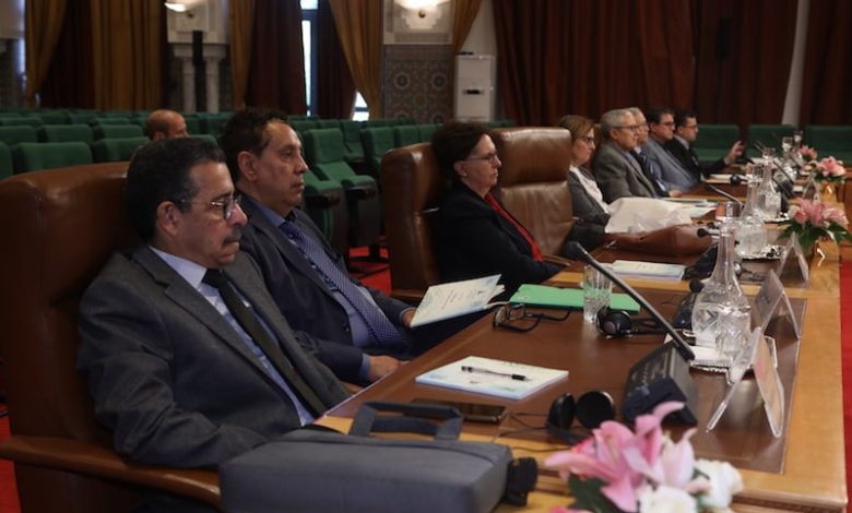 عز العرب بناني: الترجمة الآلية تفتقد "الحلول السحرية" ولن تنجح في الفلسفة