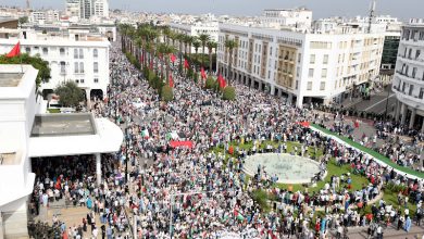 كتاب يوثّق مظاهرات تضامنية مع فلسطين