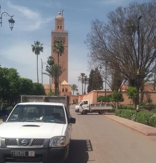 مراكش: إحداث مركز جديد للحد من ظاهرة الكلاب الضالة بمقاربات عصرية وحقوقية