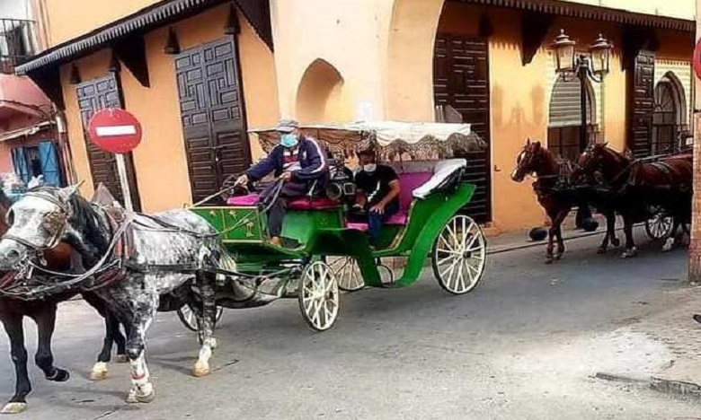 مراكش: جولة على متن عربات الخيول للتحسيس بأهمية الإقلاع السياحي