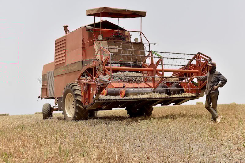 مركز أوروبي: الجفاف طويل الأمد يؤثر على زراعة الحبوب في المغرب مركز أوروبي: الجفاف طويل الأمد يؤثر على زراعة الحبوب في المغرب