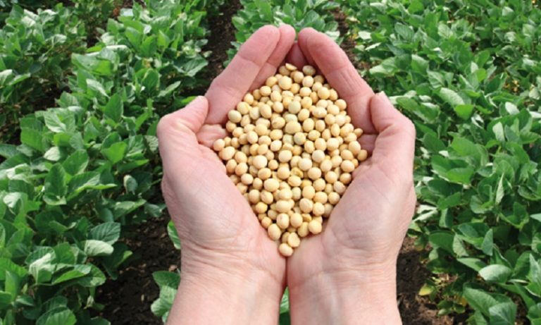 مشاريع فلاحية تنموية تساهم في تحسين الظروف المعيشية للأسر القروية بإقليم الحوز