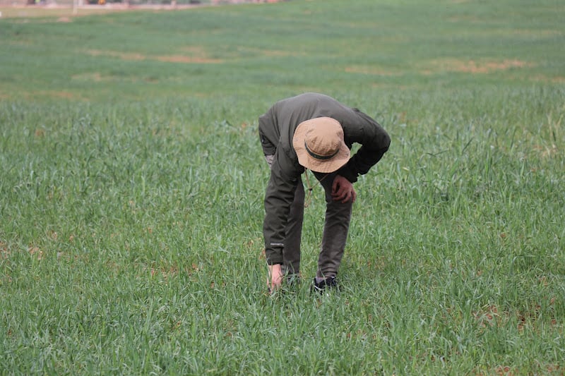 إدارة الضرائب تطلب حسابات الفلاحين