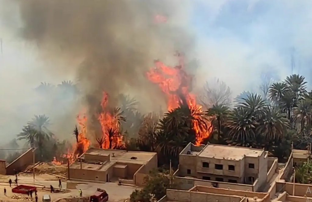 الرشيدية .. حريق مهول اندلع بواحة "أولاد شاكر" يأتي على 900 نخلة الرشيدية .. حريق مهول اندلع بواحة "أولاد شاكر" يأتي على 900 نخلة