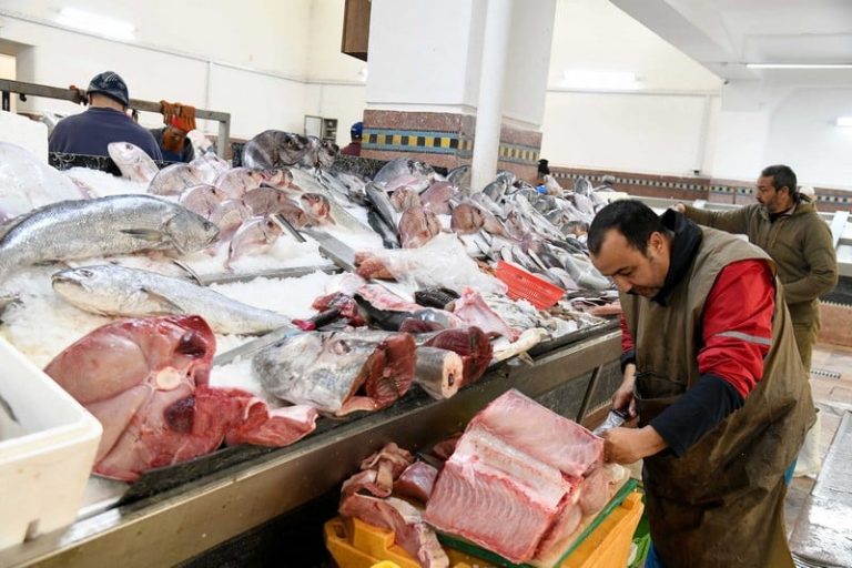 اقتصاد المغرب بالأرقام .. التضخم يتباطأ إلى أدنى مستوى منذ